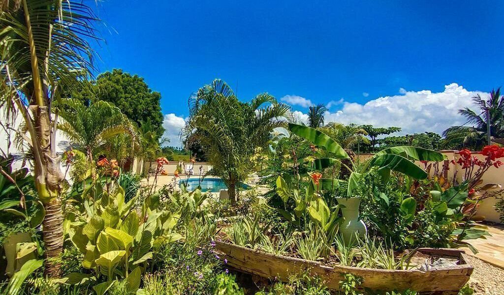 Фото Golden Palm Boutique Zanzibar 3*