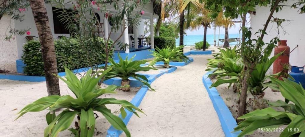 Oasis Beach Inn 3* фотосуреті