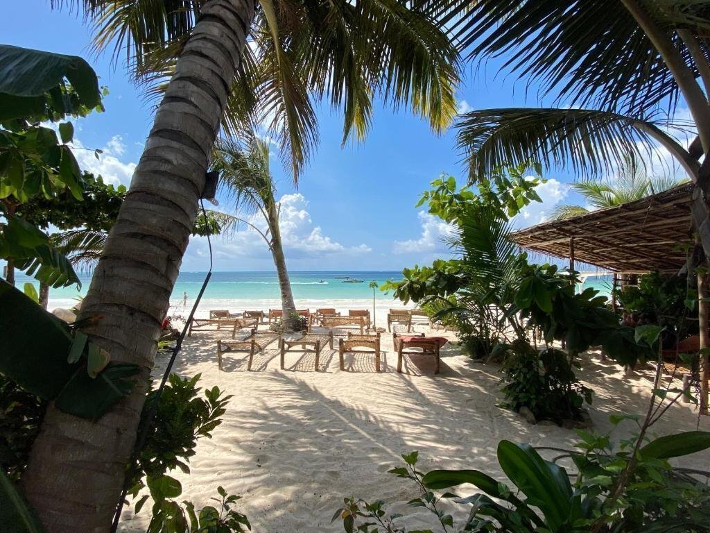 Mobydick Lodge Kiwengwa 3* қонақ үйі