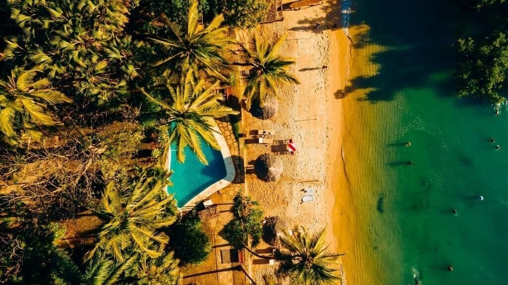 Отель Jungle Paradise Beach Resort 4*