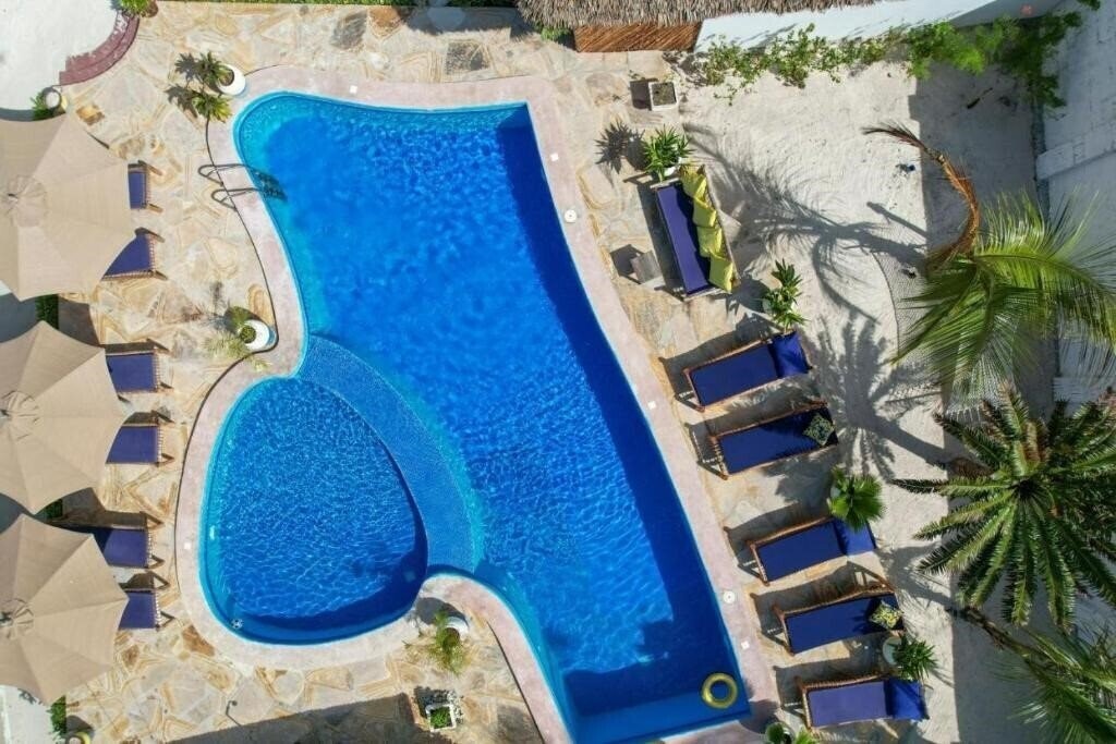 Amber Lodge 3* суреті