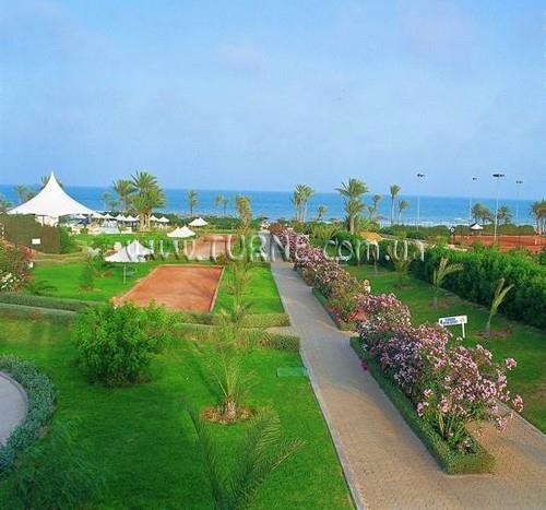 Riu Palm Azur 4* суреті