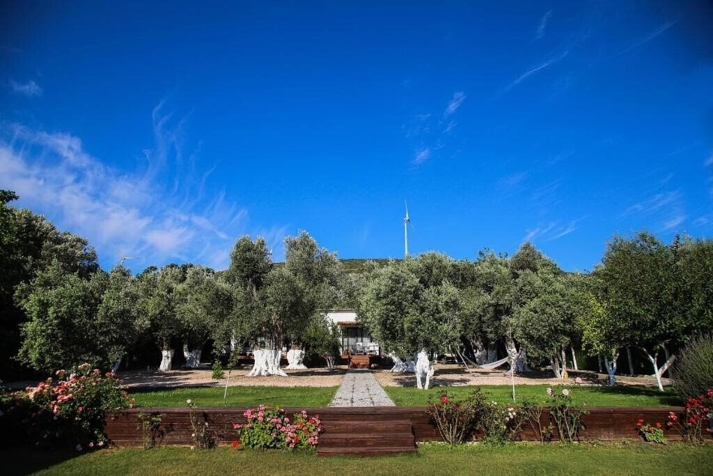 Изображение Suess Alacati 5*