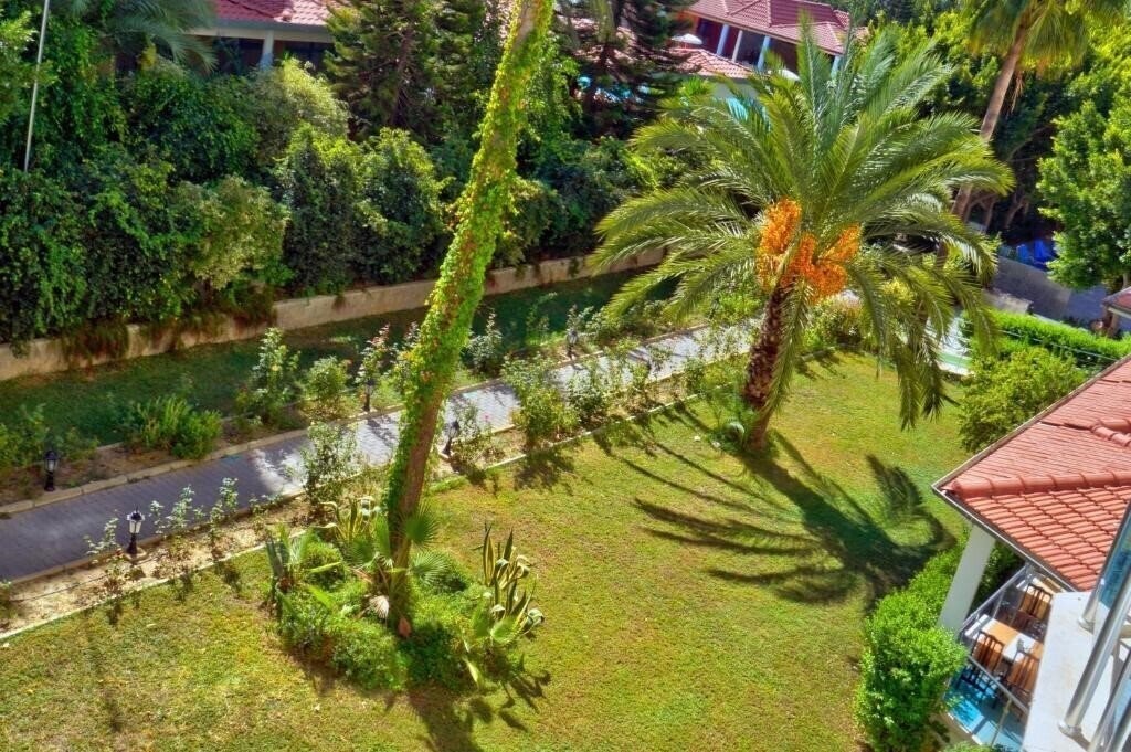 Blue Fish Hotel 4* суреті