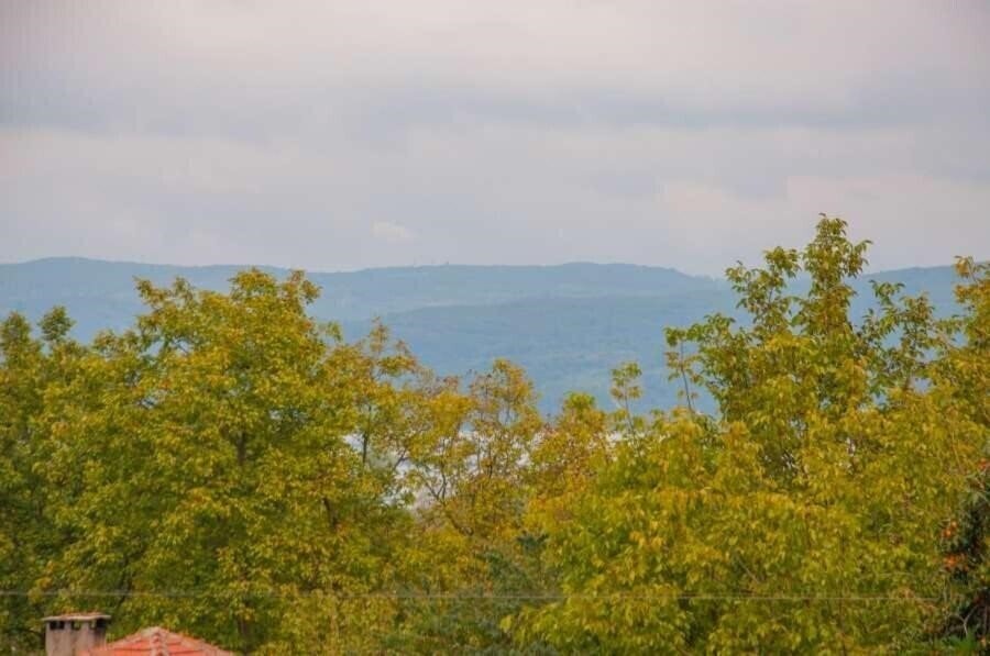 Фотография Room Room Boutique Hotel Sapanca 3*