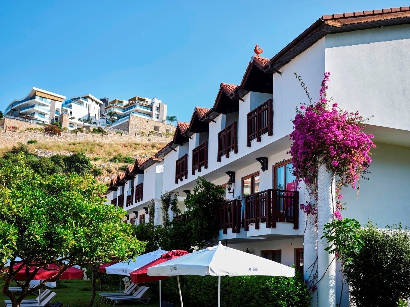 Фотография Misal Hotel SPA & Resort (ex. Noxinn Club Hotel) 5*