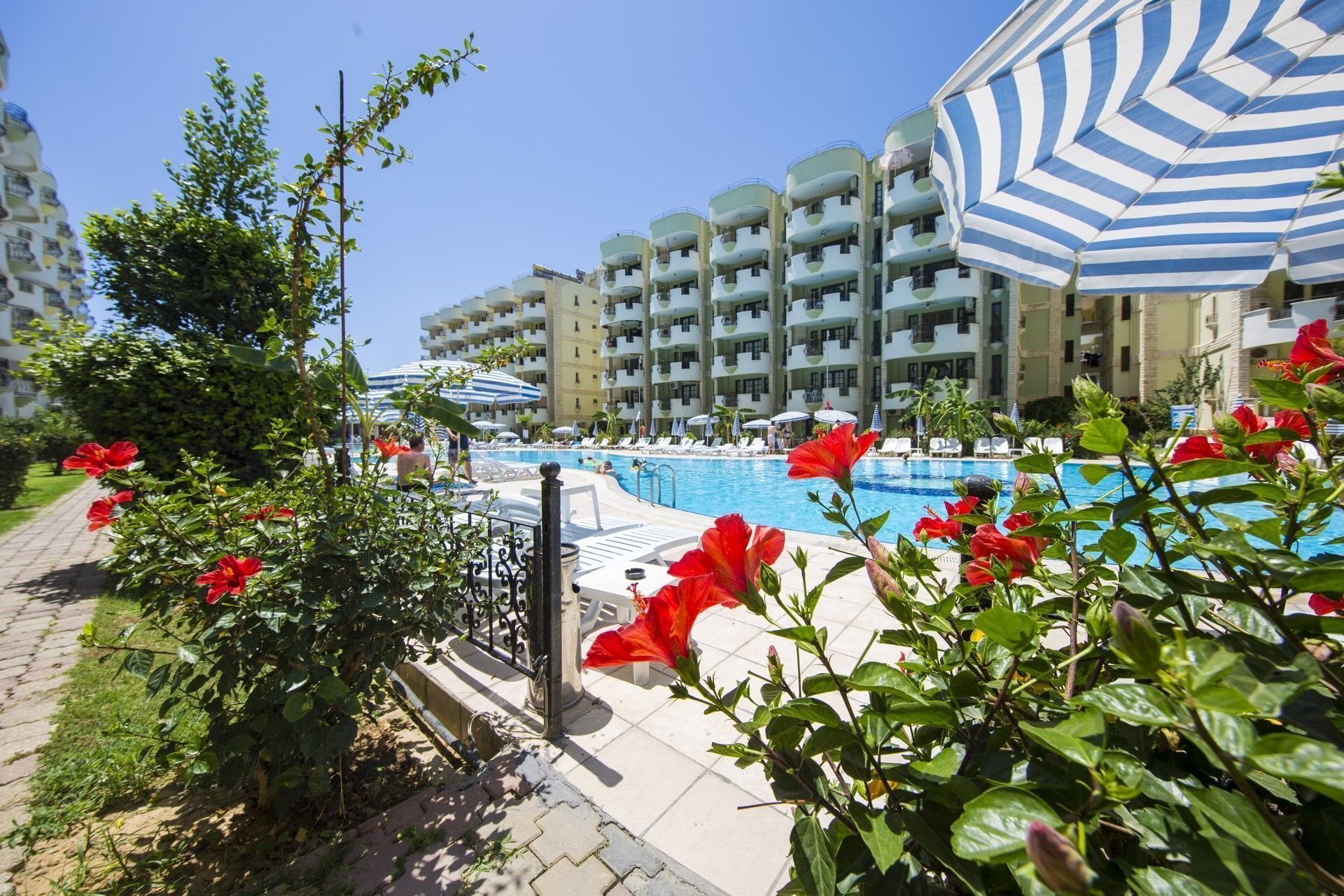 Изображение May Garden Club Hotel 4*