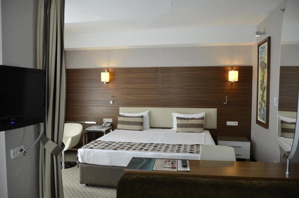 Alba Ankara Hotel 4* суреті