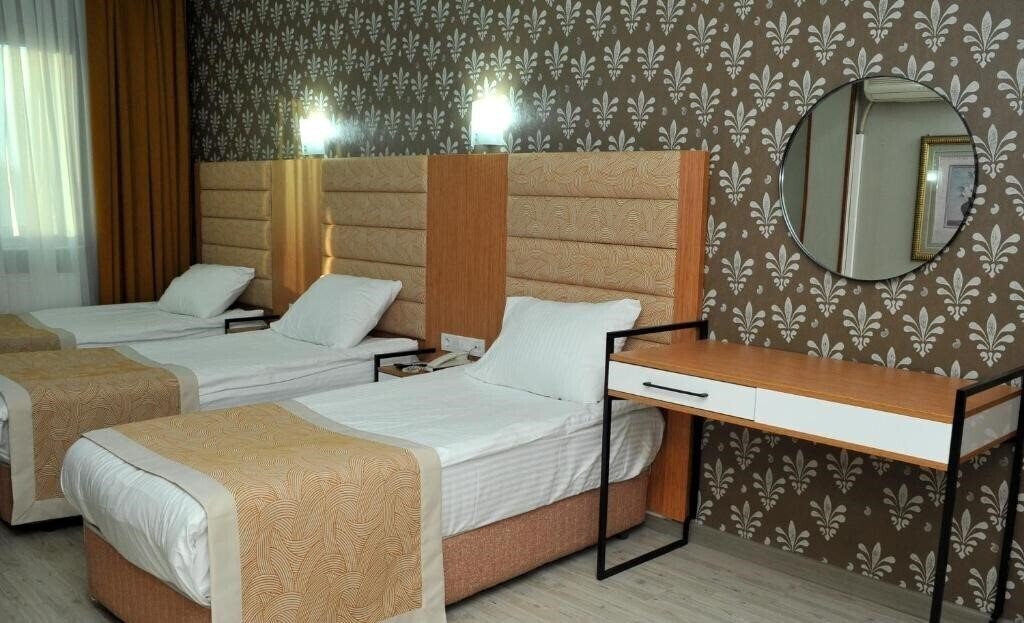 Lion City Hotel Ankara (ex. Ankara Jolly Hotel) 3* суреті
