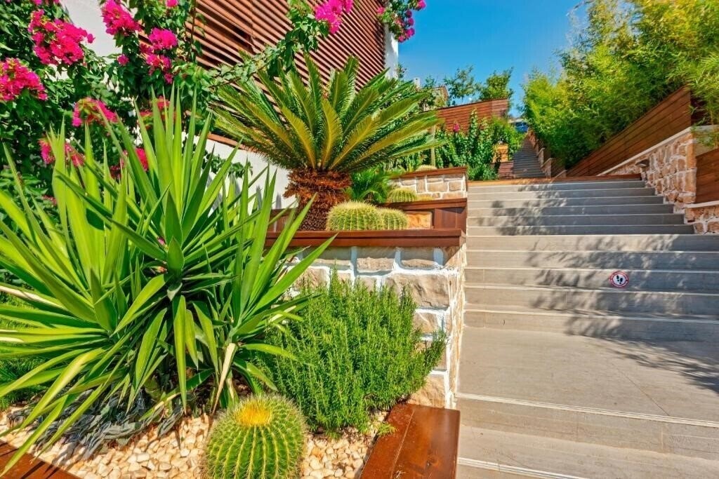 Meis Exclusive Hotel 4* суреті