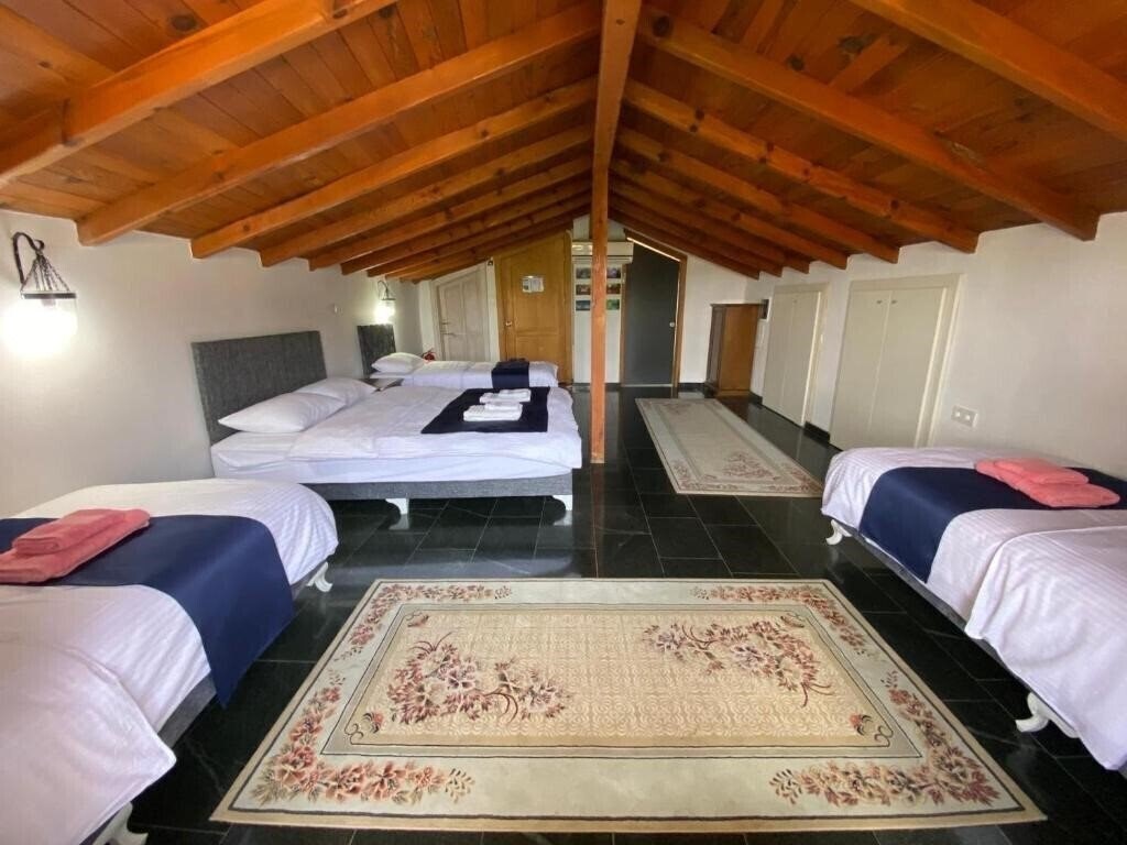 Villa Anatolia (ex. New Decorated Villa) 3* суреті