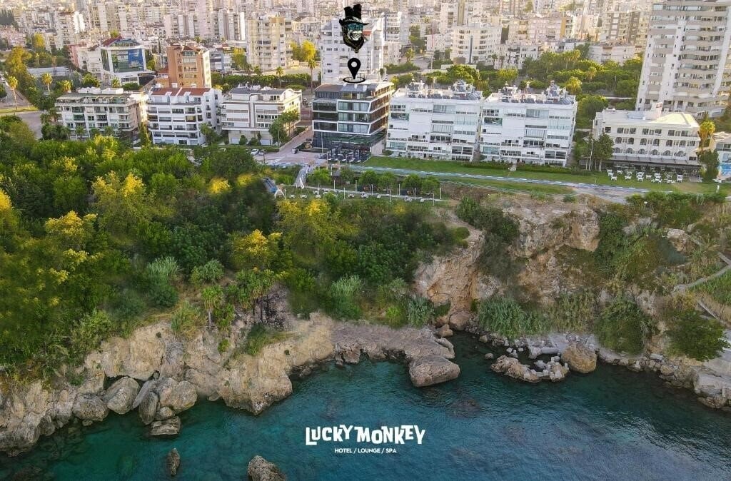 Lucky Monkey Hotel 3* суреті