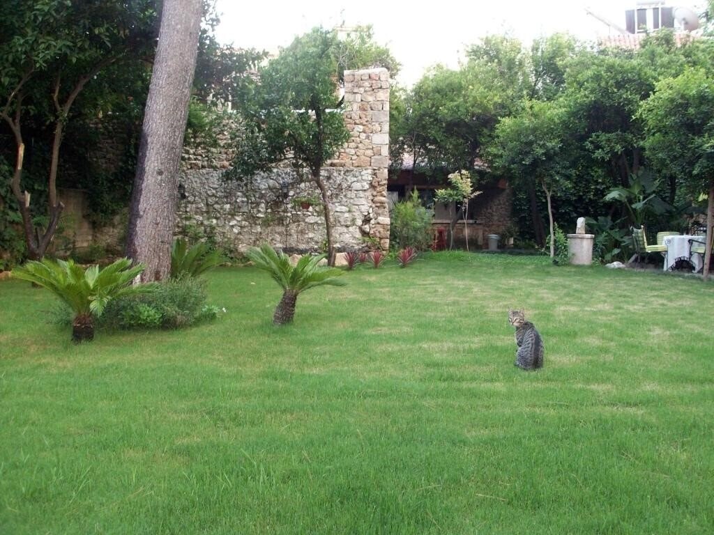 The Ninova 3* суреті