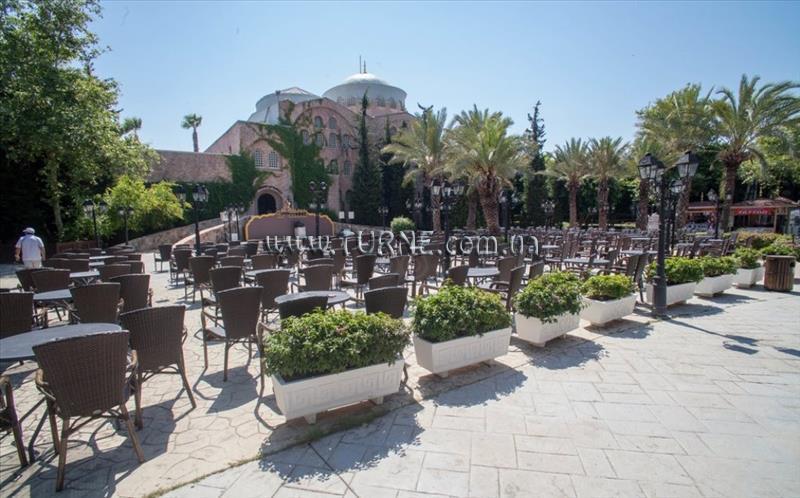 Картинка Wow Hotels Run Of The House 5*