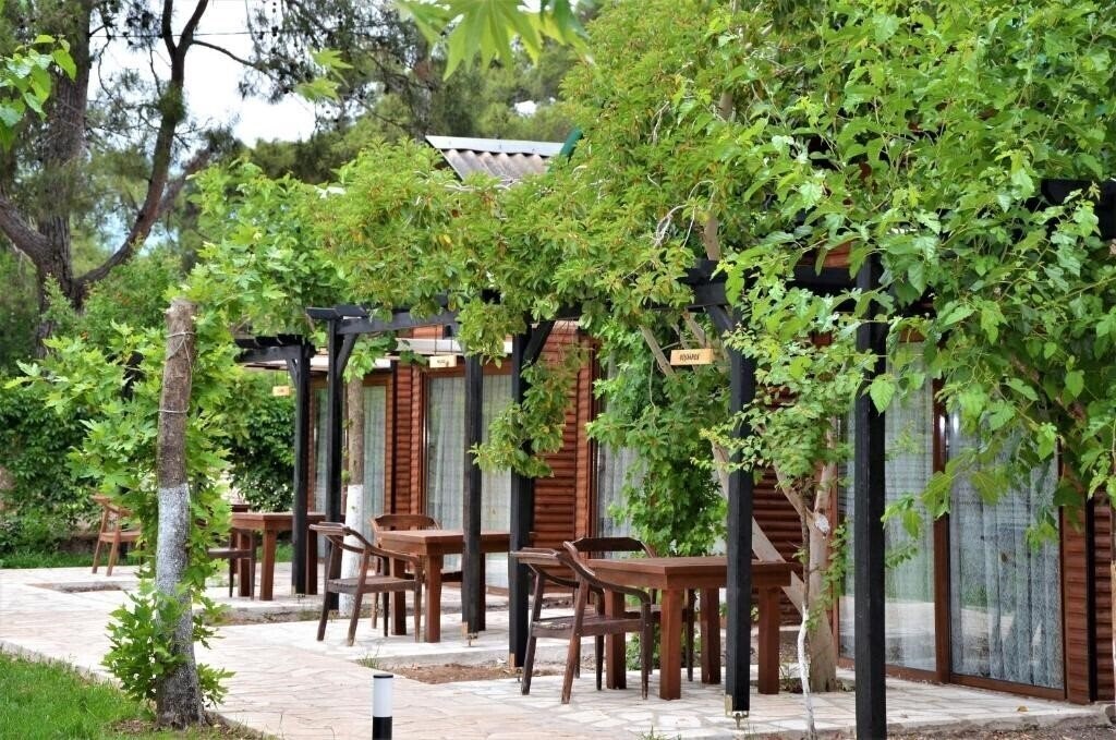 Картинка Koala Bungalows Olympos 3*