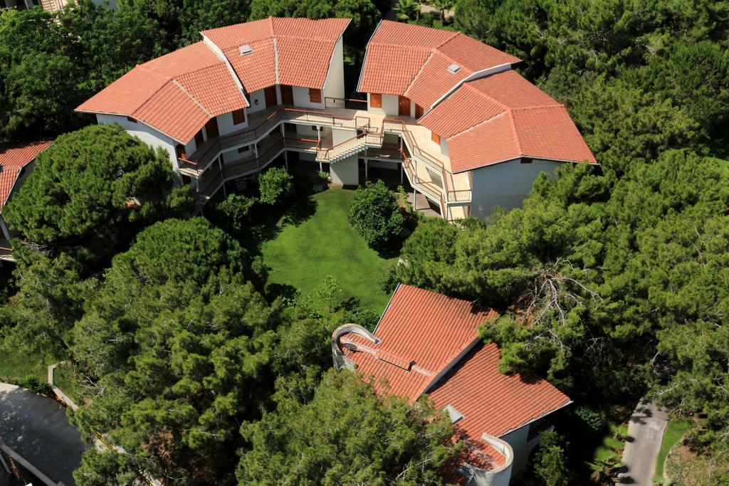 Papillon Belvil 5* суреті