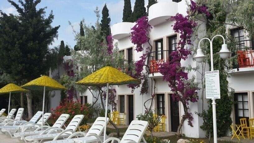 Safir Hotel 3 (ex. Flora Safir Hotel) 3* суреті