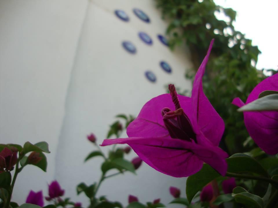 Фото Eden Hotel Bodrum 2*