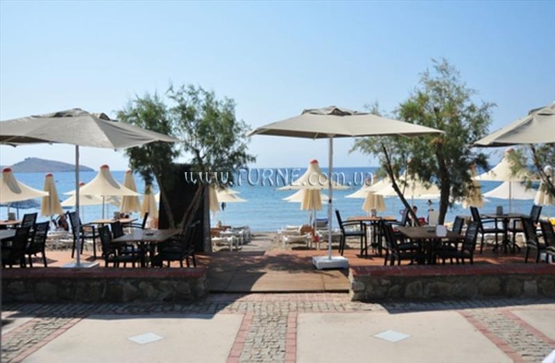 Dilek Agaci Boutique Hotel & Beach 3* суреті