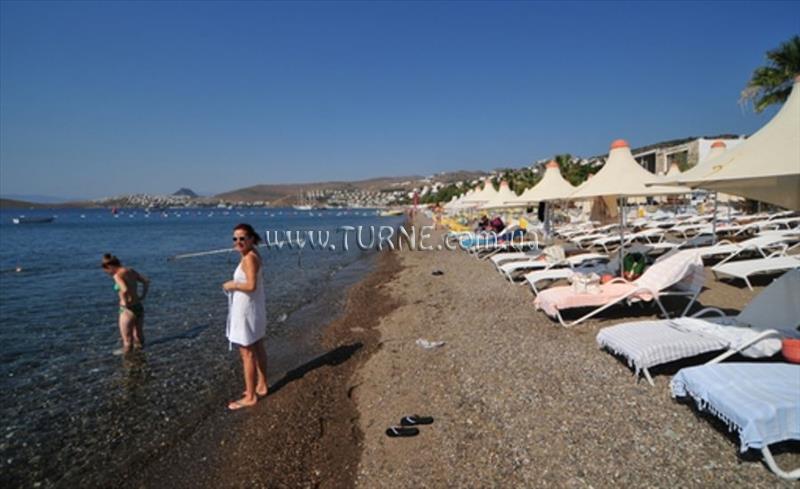 Dilek Agaci Boutique Hotel & Beach 3* суреті
