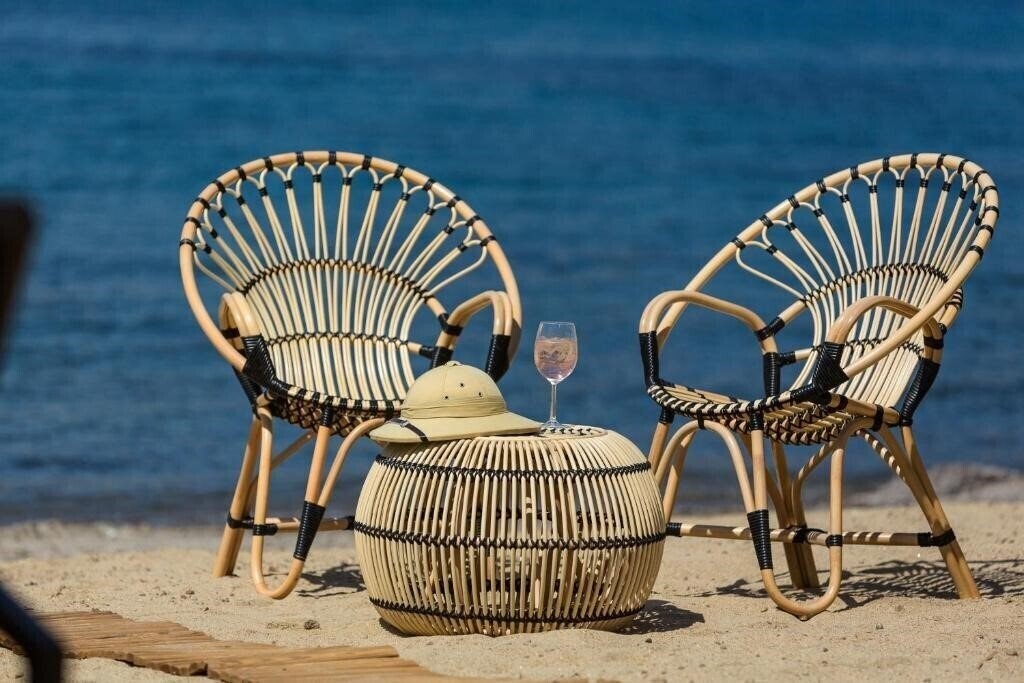 Princess Artemisia 3* суреті