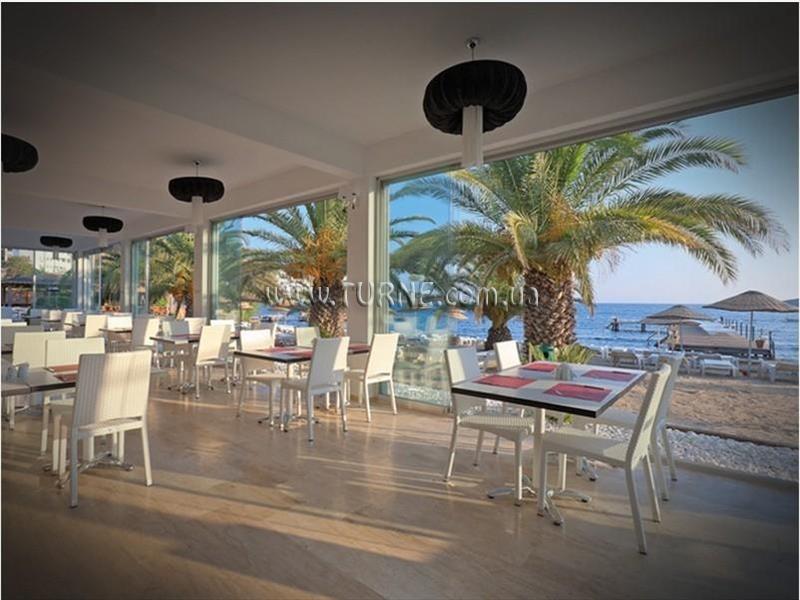 Princess Artemisia 3* суреті