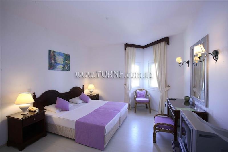 Princess Artemisia 3* суреті