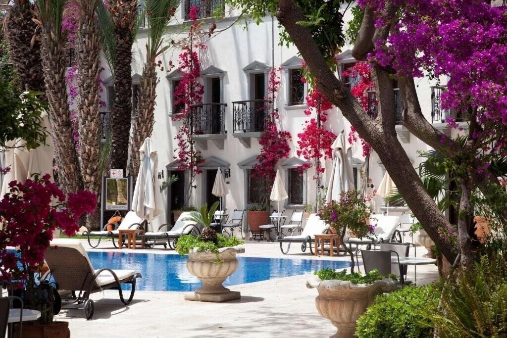 Изображение Marina Vista Hotel 4*