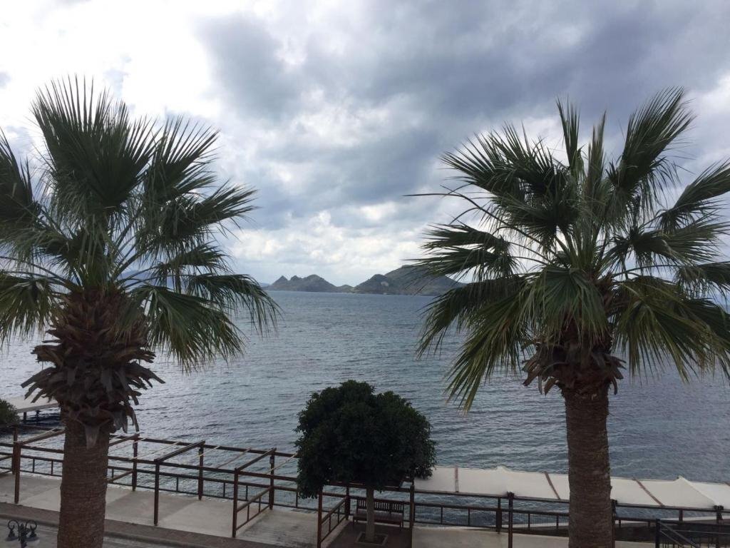 Изображение Maxsea Beach Hotel (ex. Moonlight Hotel) 3*