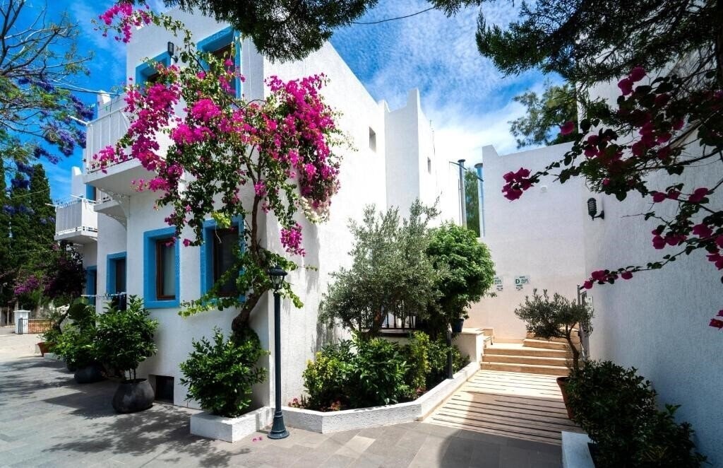 Manuela Hotel 3* суреті