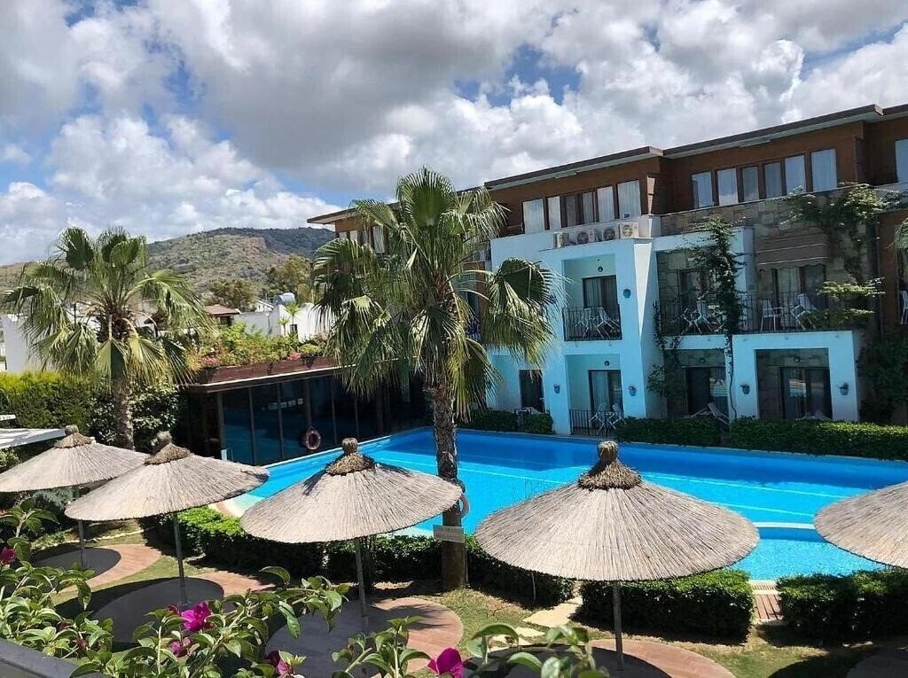 Отель Liona Hotel 3*