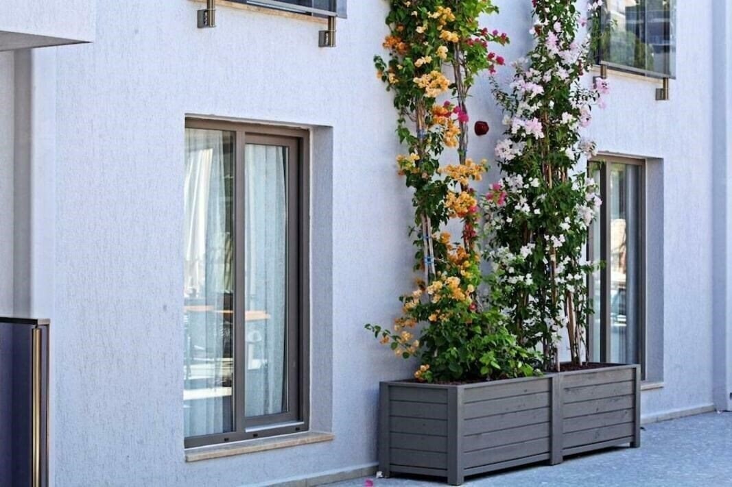 Time To Smile Mavi Hotel & Residence 4* суреті