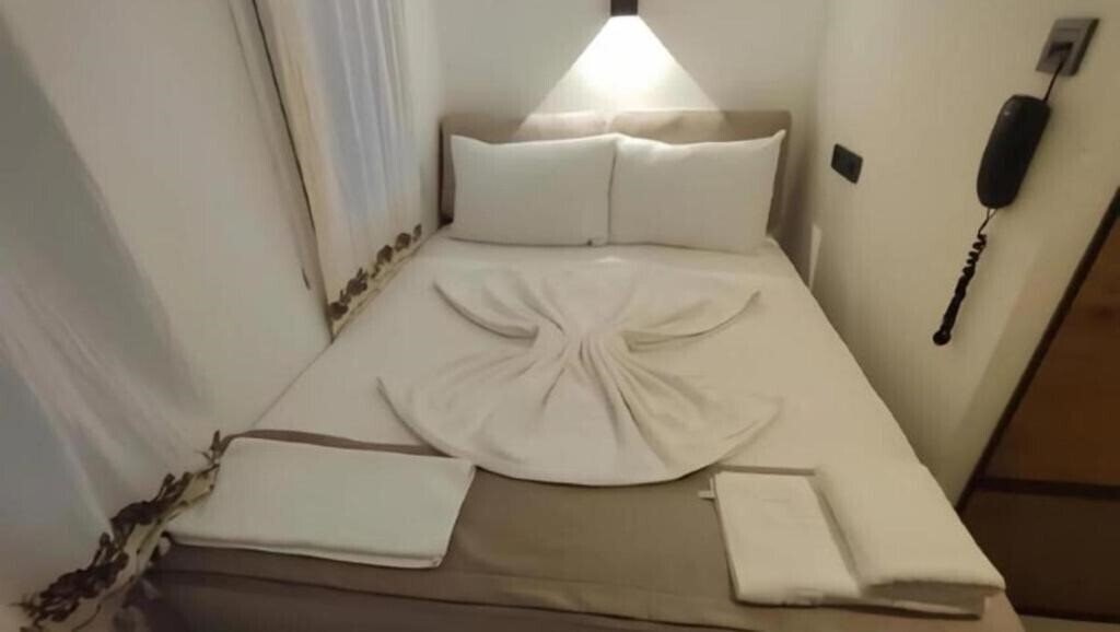 The Professors Hotel 3* суреті