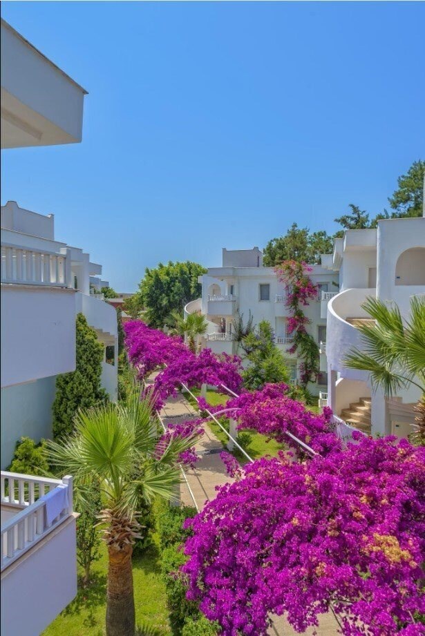 Bendis Beach (ex. Tansel) 4* суреті