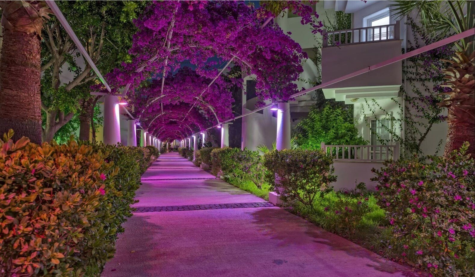 Bendis Beach (ex. Tansel) 4* суреті