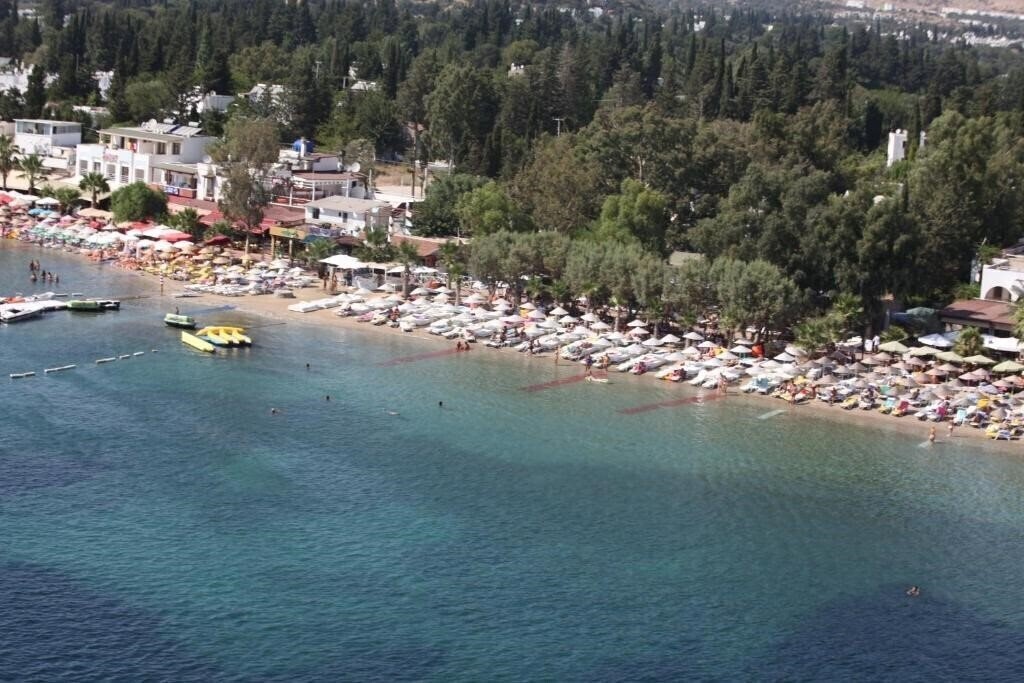 Okaliptus 4* суреті