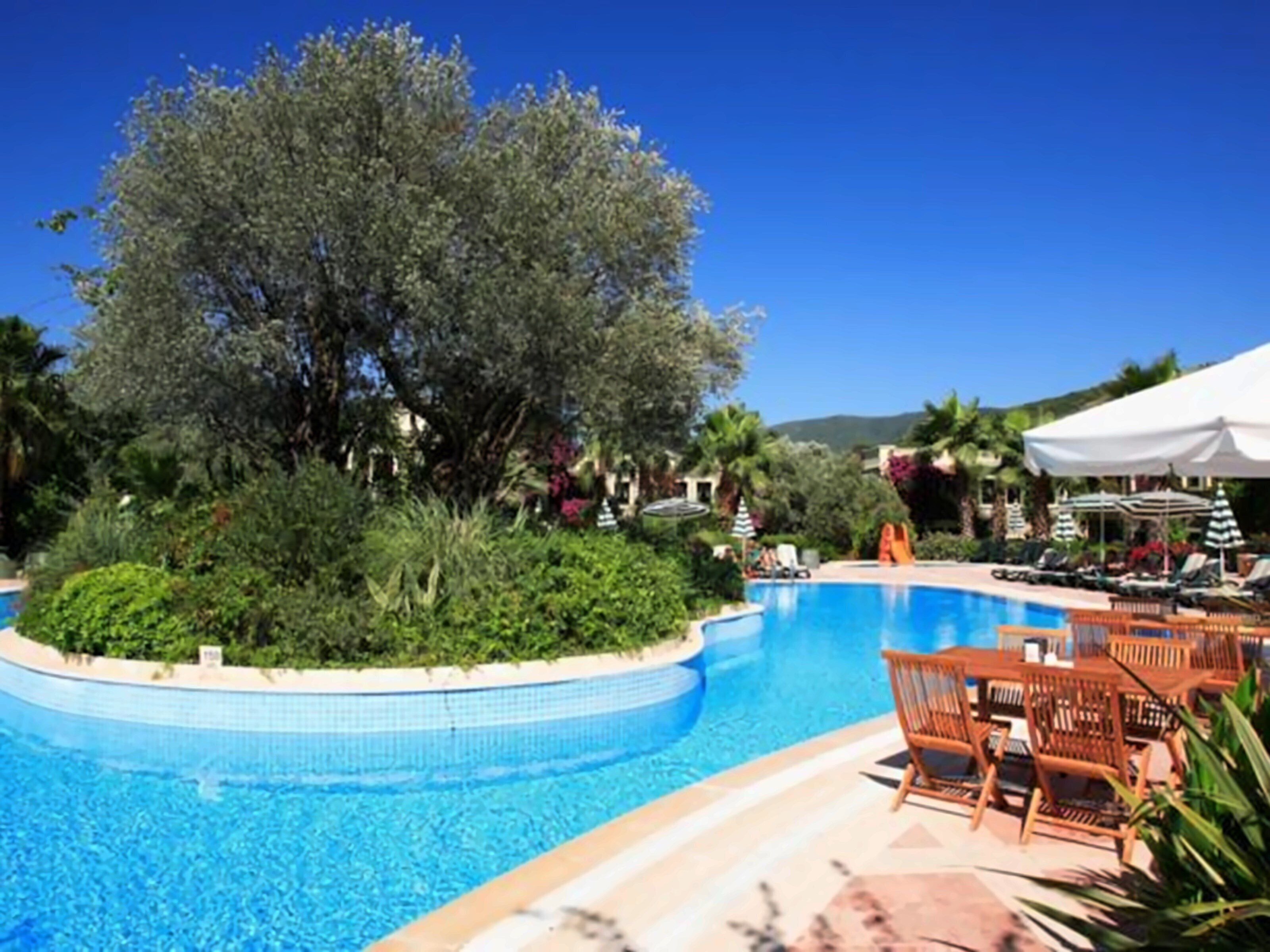 Отель Zeytinada Hotel 4*