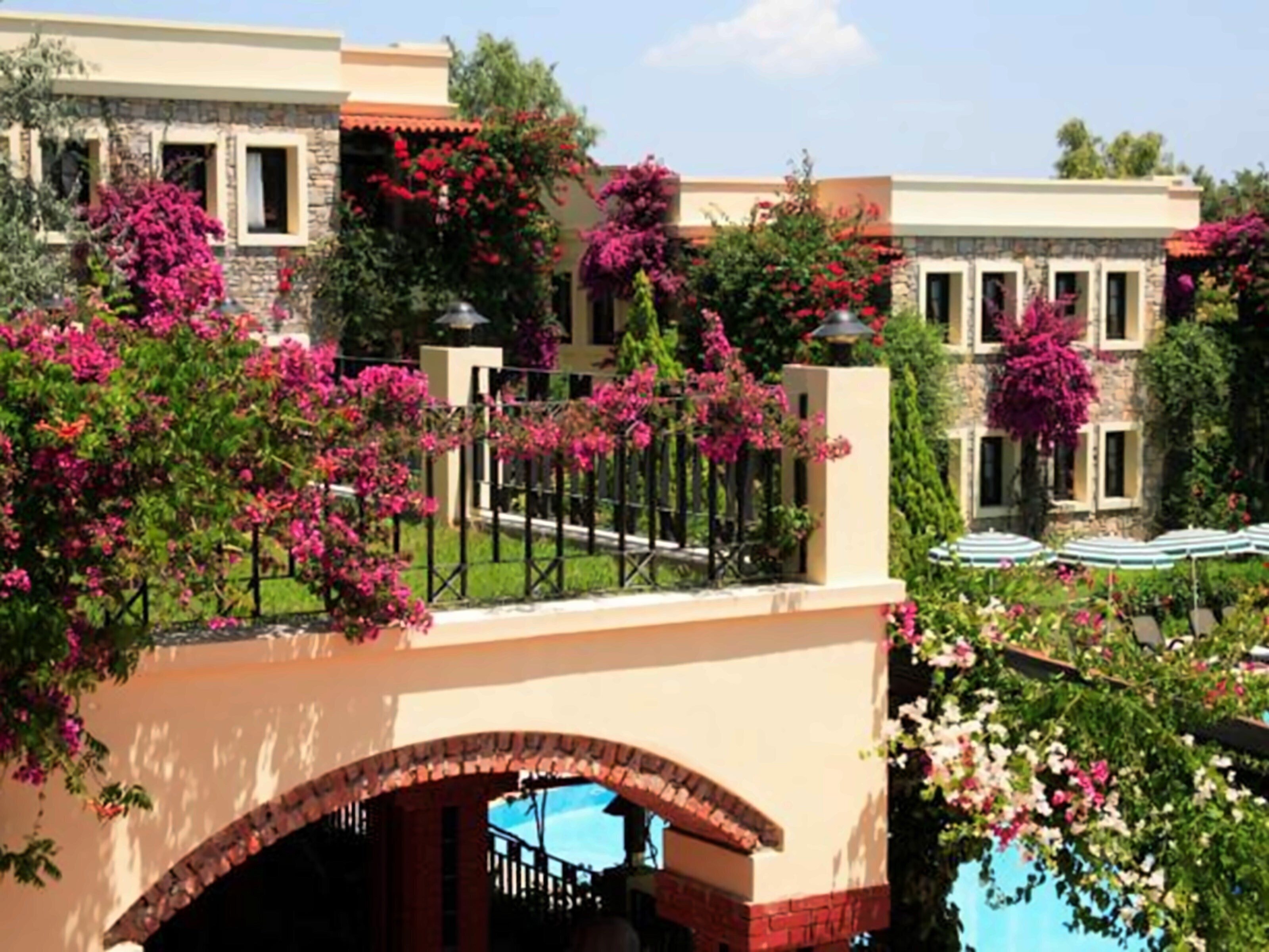 Фотография Zeytinada Hotel 4*