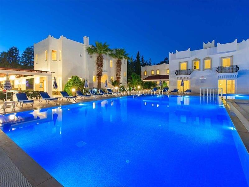 Отель Kassandra Hotel 3*