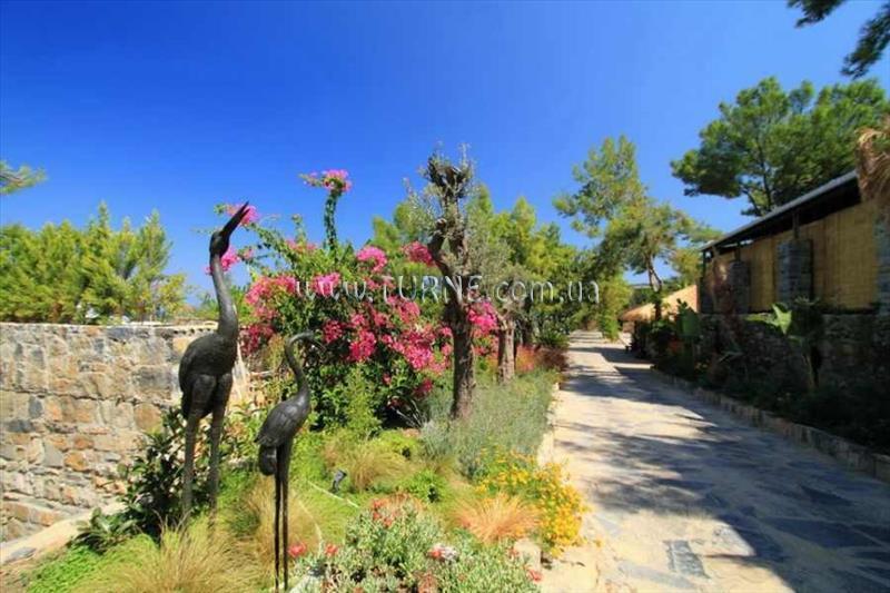 Фото Shamana Hotel & Spa 4*