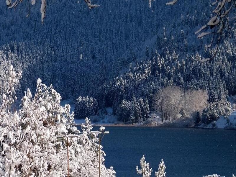 Фотография Abant Gol Evleri 3*