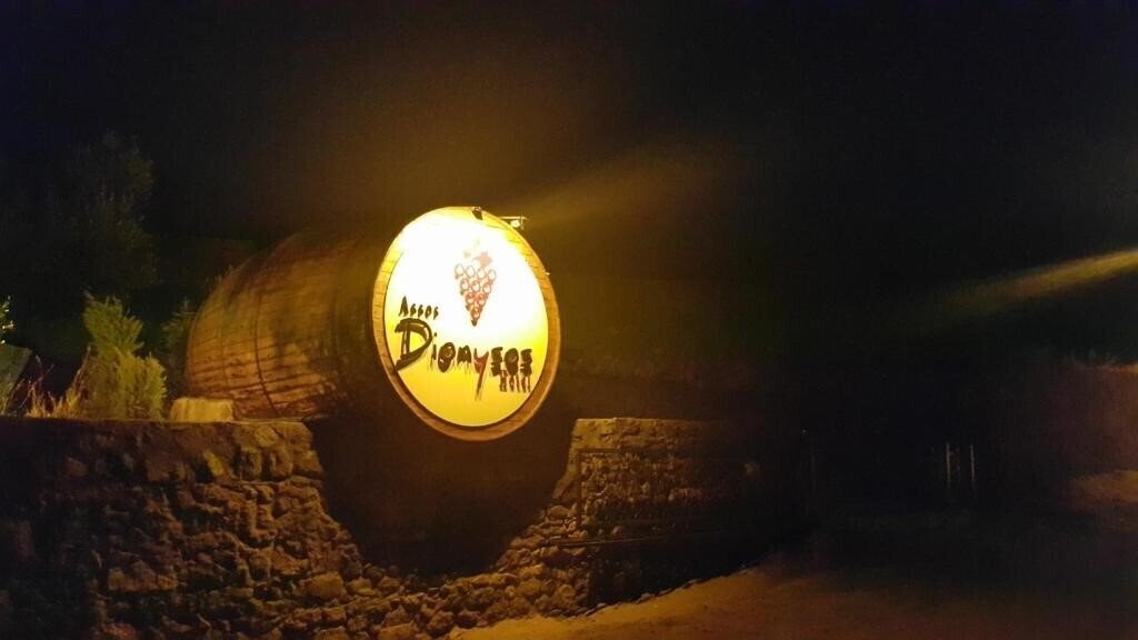 Фотография Assos Dionysos Hotel 4*