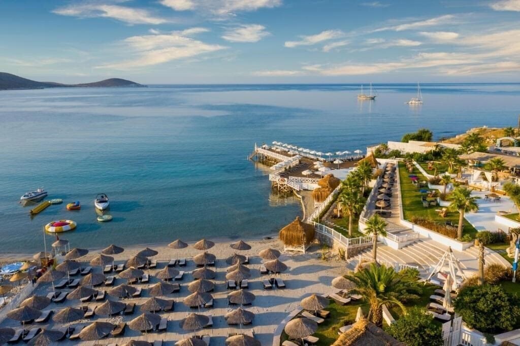 Картинка D + Seya Beach Hotel 5*