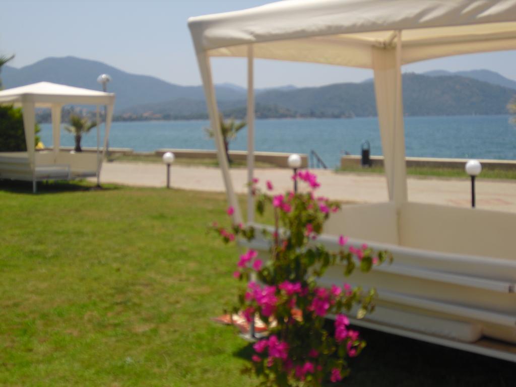 Ceren 3* суреті