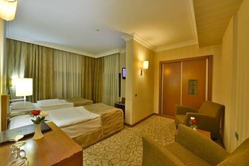 Картинка Almer Hotel Kayseri 3*