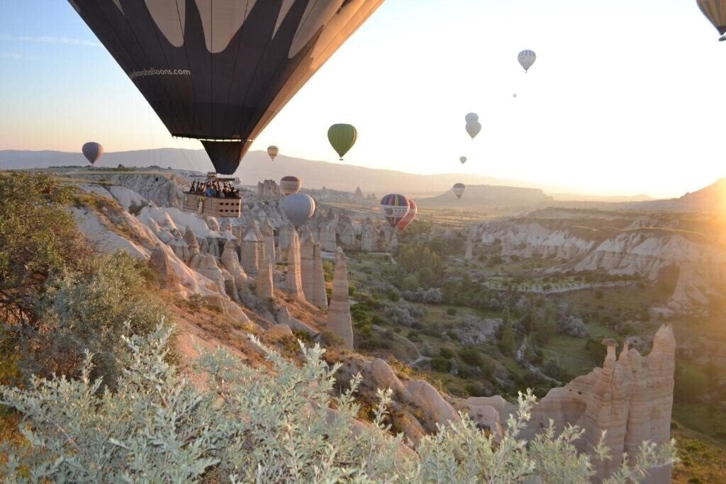 Картинка Coco Cave 3*