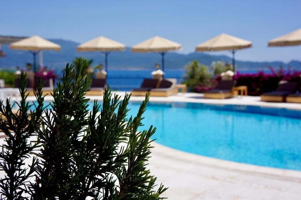 Villa Hotel Tamara 4* суреті