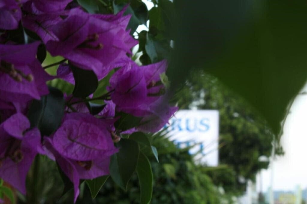 Фото Parus Hotel Kemer 3*