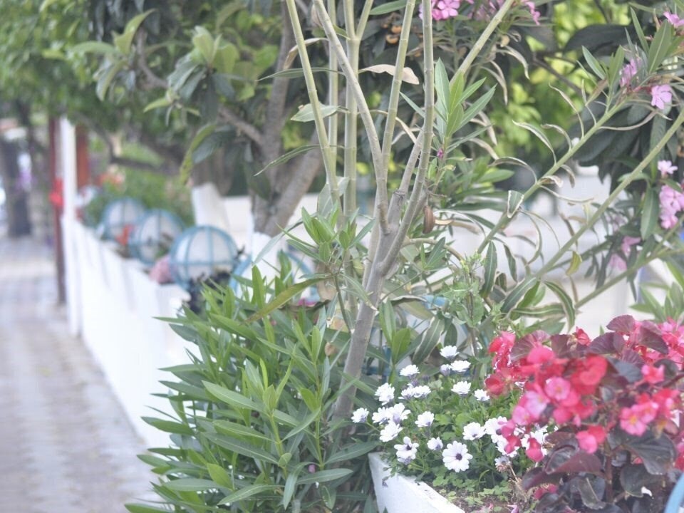 Фото Ipek Hotel 3*