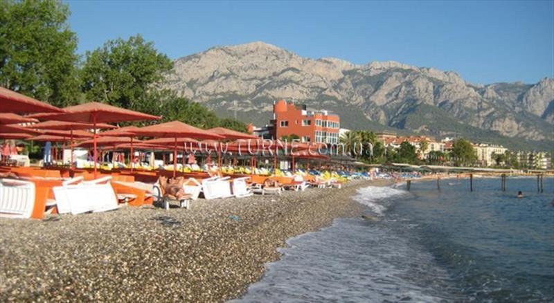 Alerya Hotel 3* суреті